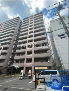 フォレストヒカリの画像