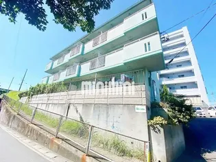 藤ハイツ【2階】の外観