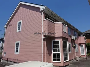 カナシンの画像