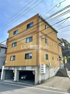 ユニゾン錦の画像