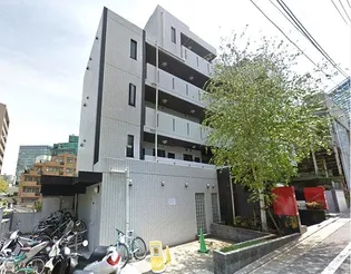 CYNTHIA FOURーD MEGUROOHASHIの画像