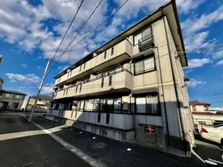 コマクサMの画像