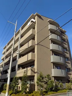 エンジェルズ アイの画像