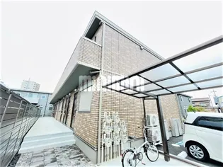 クリザンテーム白子の画像