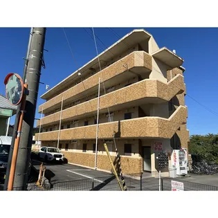 シャテロの画像