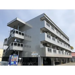 パルム松枝の画像