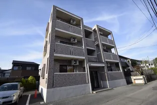 ミオ コルテの画像