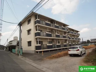 くすの木21の画像