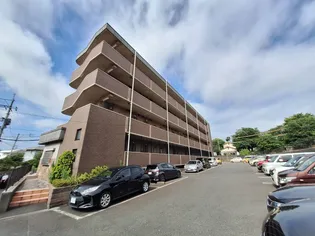 アビタシオン花の樹の画像