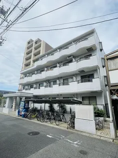 ジュネパレス市川第27の画像