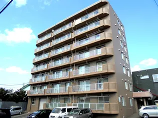 ロックパディの画像