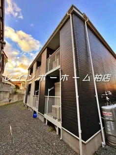 MS IVの画像