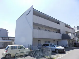 ピュア37の画像