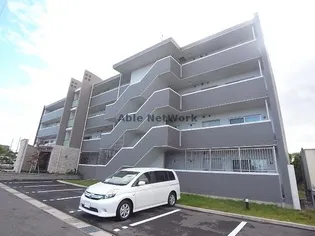 はなみずきの画像