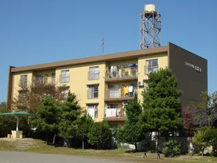 コンチネンタル布瀬II【4階】の外観