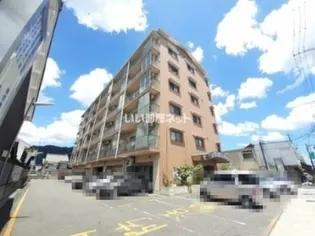 フレアグレイスの画像