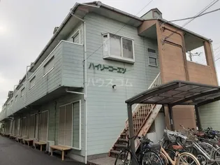 ハイリーコーエツBの画像