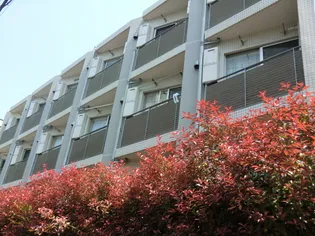 ユナイテッドグロー文京白山の画像