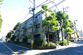 シュロスの画像