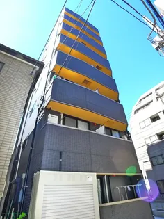 スターライトの画像