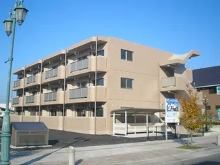 Y&Mティースマイルの画像