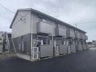 思川ヴィオレ Dの画像