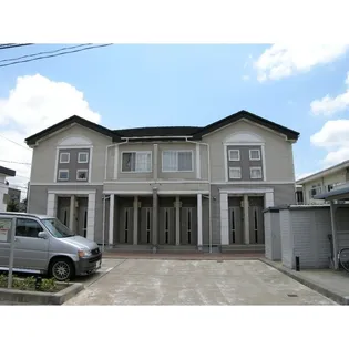 ファレノプシスの画像