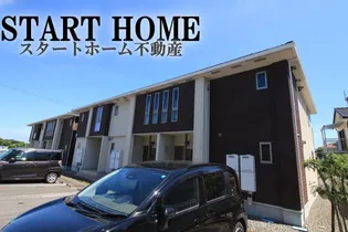 ルピナスBの画像