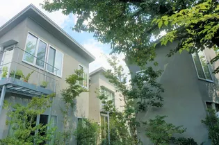 アウル向山の画像