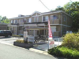 コータ コートDの画像