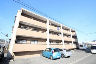 グレイスカワイIの画像