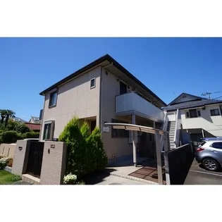 ハナミズキの画像