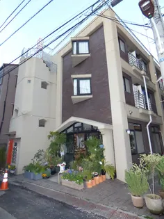 白金ファイブの画像