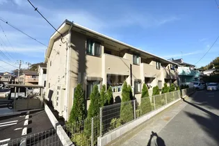 アルドールの画像