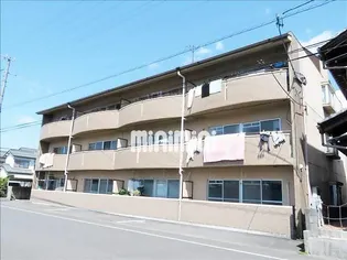 プロシードざいまんの画像