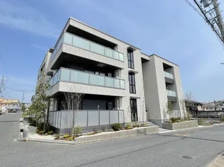 アンビエラの画像