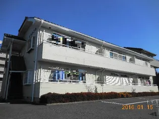 オブコニカの画像