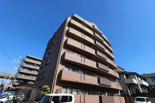 ウィルグレース八千代の画像