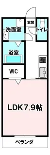 ソリテール月出【4階】の間取り