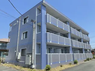 カルミアの画像