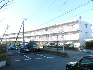 エクセル椿峰の画像
