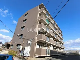 ヴェルデの画像