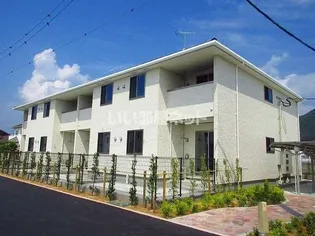 アムールHの画像