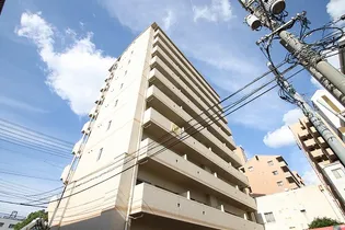 シティハイツ西霞【10階】の外観