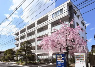 グリーンコートレジデンス青葉の画像