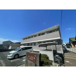 ピーヌスIの画像