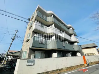 ニュークリアス中大類の画像