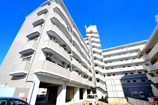 クリオールの画像