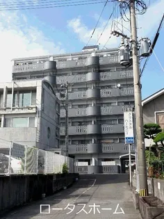 クリスタルハーモニーの画像