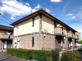 ルミエールの画像